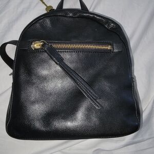 Fossil Backpack